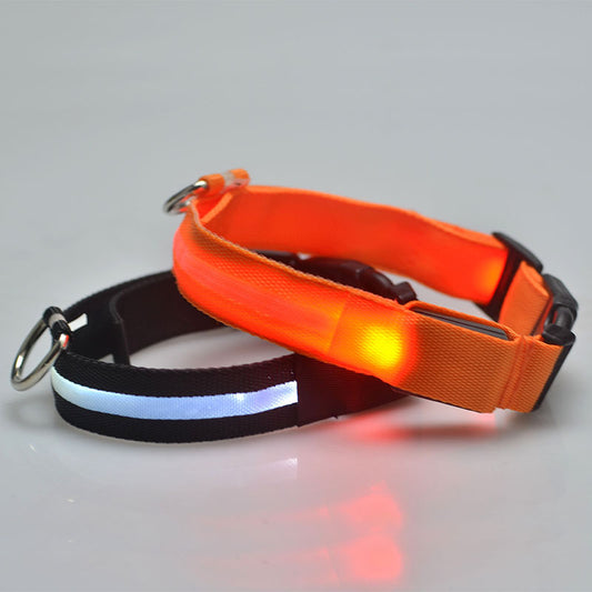 New Pet Led Cat Collar Waterproof Usb Rechargeable Nylon Flashing Light Up Led Dog Collar